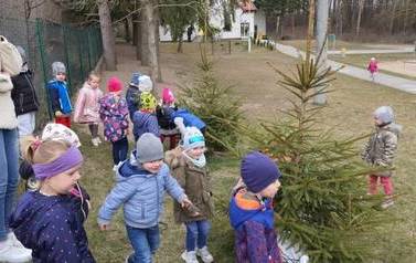 Poszukiwanie zajączka 7
