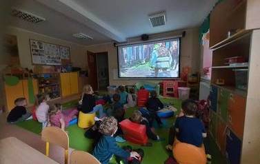 Drzewa liściaste i iglaste 1