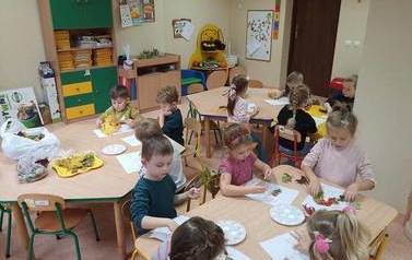 Drzewa liściaste i iglaste 2