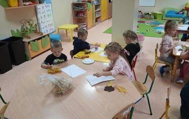 Drzewa liściaste i iglaste 4