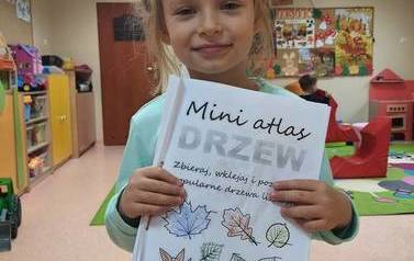Drzewa liściaste i iglaste 14