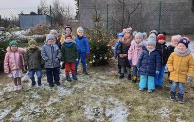 Strojenie choinek 12