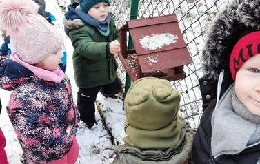 Dokarmianie ptak&oacute;w zimą 3