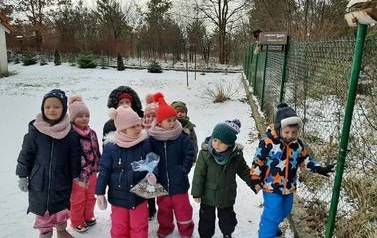 Dokarmianie ptak&oacute;w zimą 5