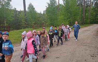 Akcja "Drzewko za makulaturę" 1