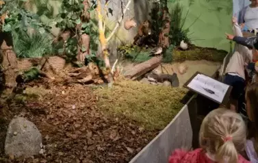 RrtpasUf