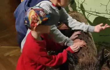 xXDpjcfA
