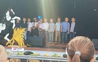Występ s&oacute;wek na dożynkach 3