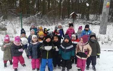 Dokarmiamy ptaszki zimą 1