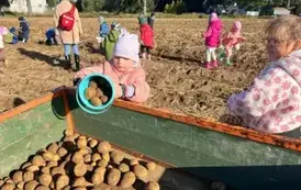 VBeudVff