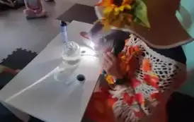 VstCvejh
