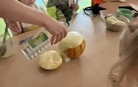 Dzień Dyni-grupa zajączki 12