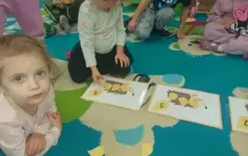 Cdil_aMM