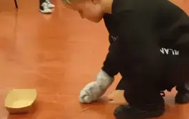 jaiO9ngZ